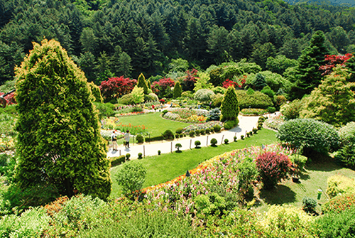 아침고요수목원14