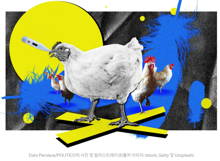 싸고 빠른 고기, 그 이면의 진실 :: 폴란드산 닭고기에서 시작된 세계 축산의 경고