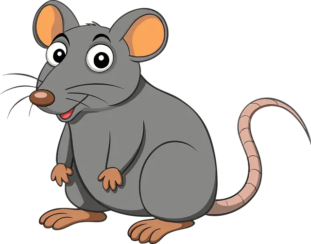 쥐이미지