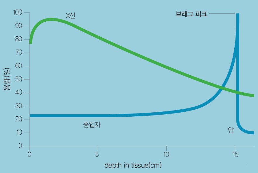 중입자의 브래그 피크 설명