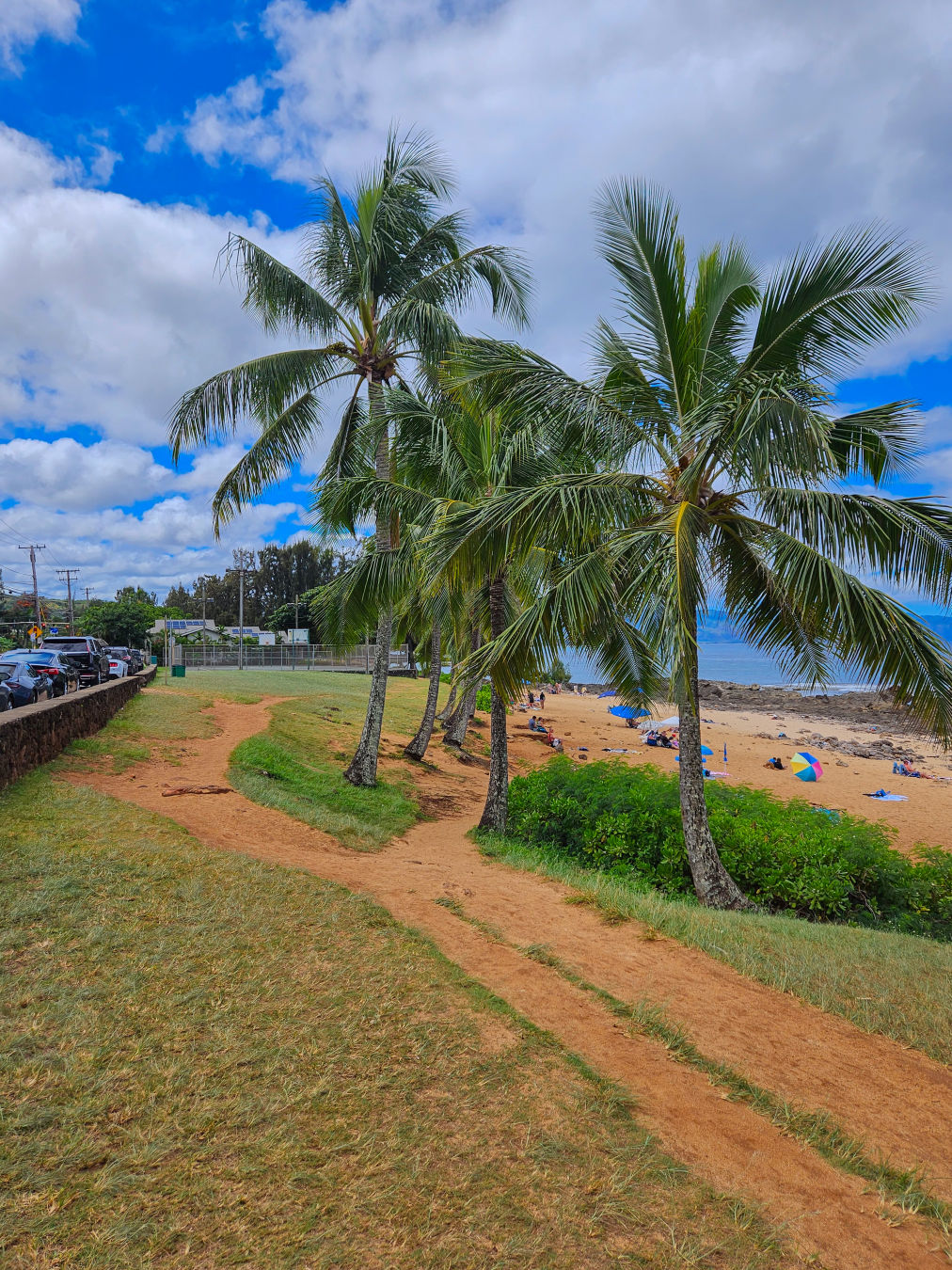 하와이 샥스코브 화장실