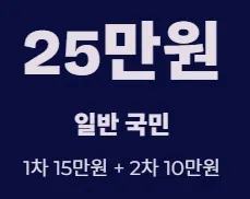 2025 전국민 민생지원금 1차지급 지급방식 및 사용처 - 일반 국민
