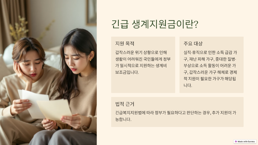 2025 긴급 생계지원금 신청 방법 총정리! 지급 대상 및 신청 절차 확인