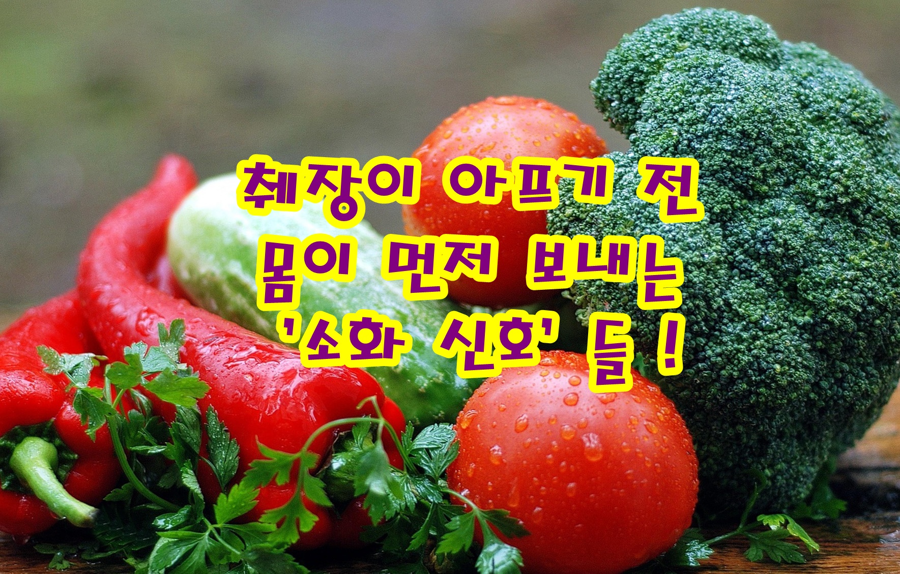 췌장이 아프기 전, 몸이 먼저 보내는 ‘소화 신호’들