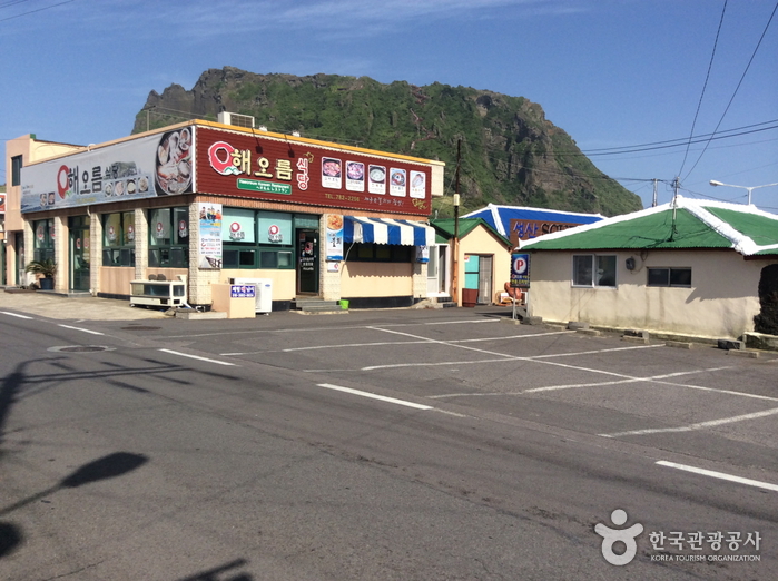 베니스랜드 유럽수국축제