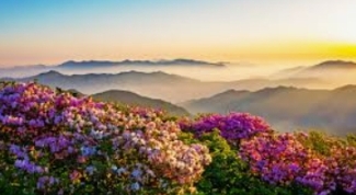 덕유산 실시간 CCTV 향적봉 설천봉