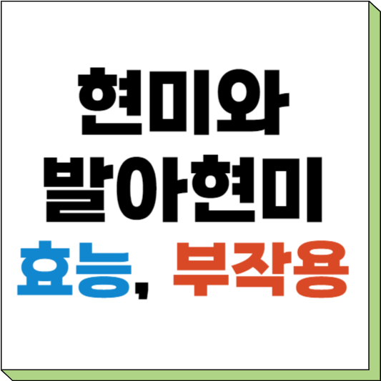발아현미 효능