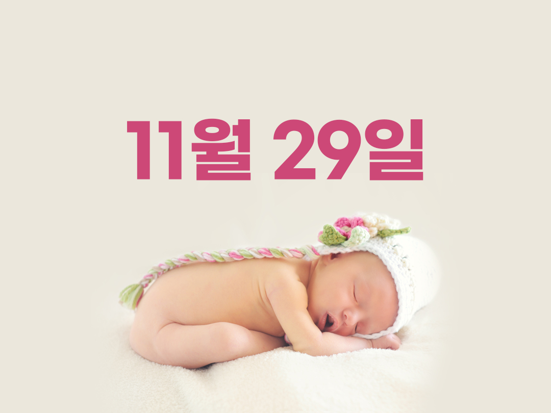 11월 29일 천주교 여자세례명 1가지 일루미나타
