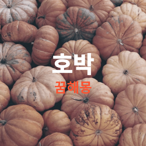 호박 꿈해몽 풀이 ( 꿈에 호박을 보았으면 대박 길몽 이네요, 하지만 흉몽도 확인 하세요)