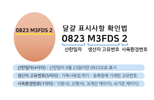 계란 달걀 코드 확인법