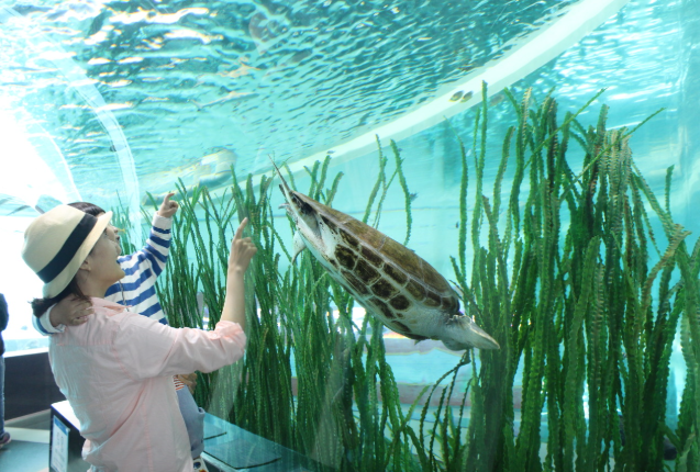 생생정보 국립해양박물관 수중공연 피딩쇼 부산 영도구