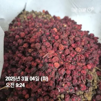 오미자 효능 부작용 섭취방법_12