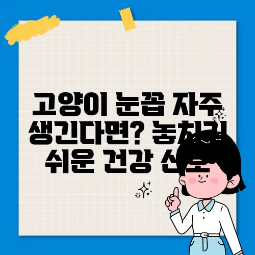 고양이 눈꼽 자주 생긴다면? 놓치기 쉬운 건강 신호