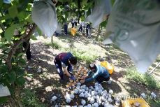 손해평가사 시험일정 과목 총정리 2025