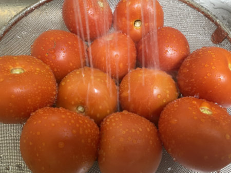 토마토 깨끗하게 헹구기