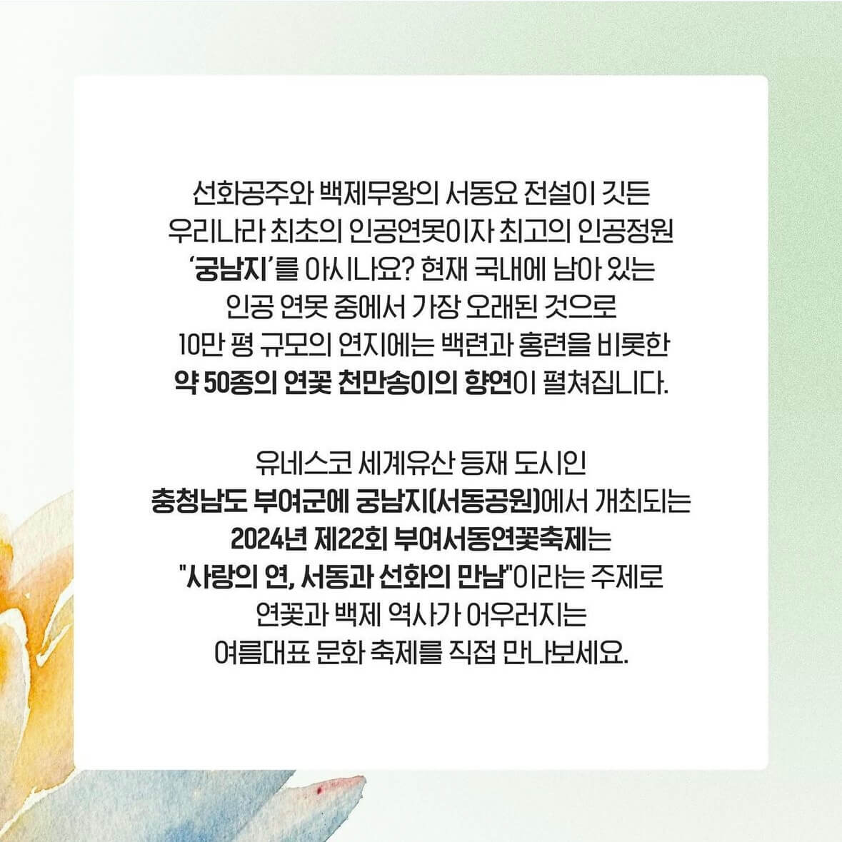 부여 궁남지 연꽃축제