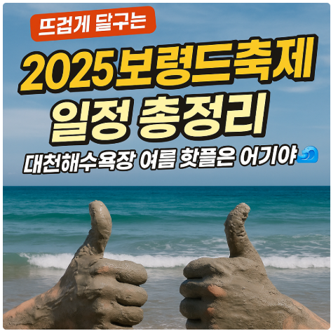 보령 머드 축제 이미지