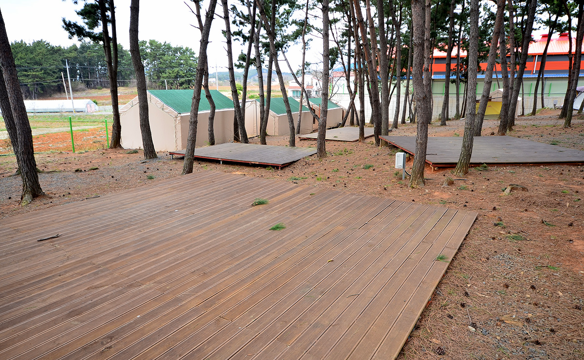 충남 서천 늘푸른캠핑장 소개