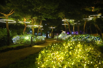 부여서동연꽃축제 궁남지 야경 빛의 향연_2