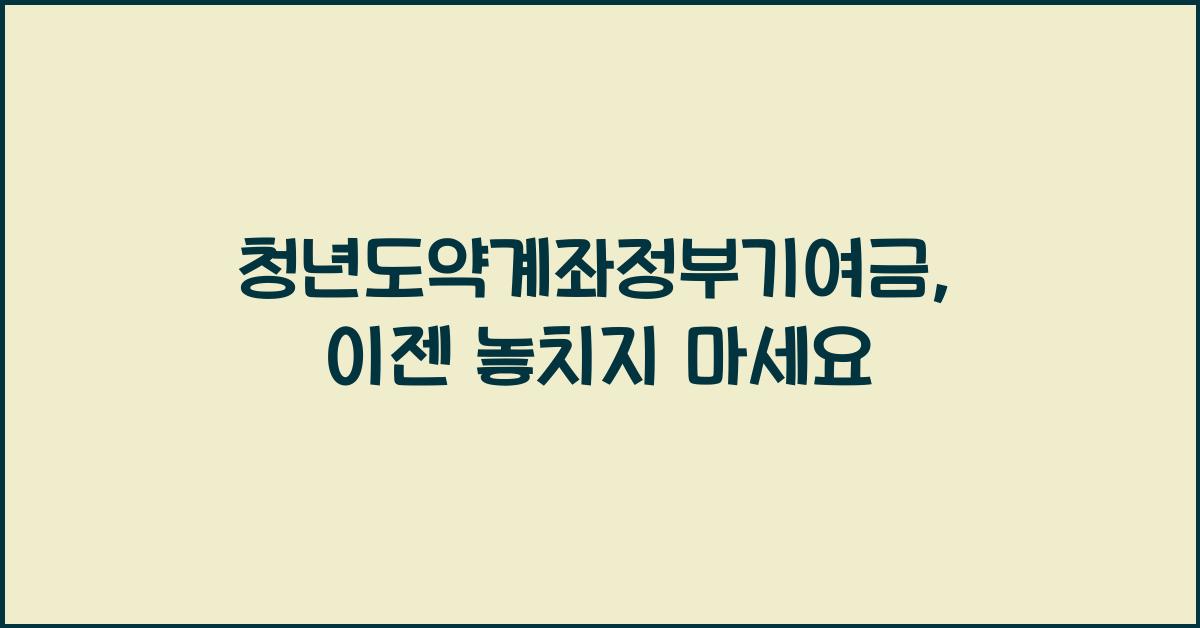 청년도약계좌정부기여금