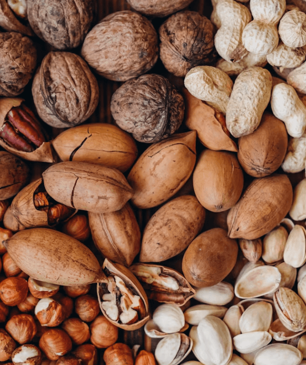 견과류 하루 한 줌 꿀팁! 효능별 추천과 오해 3가지