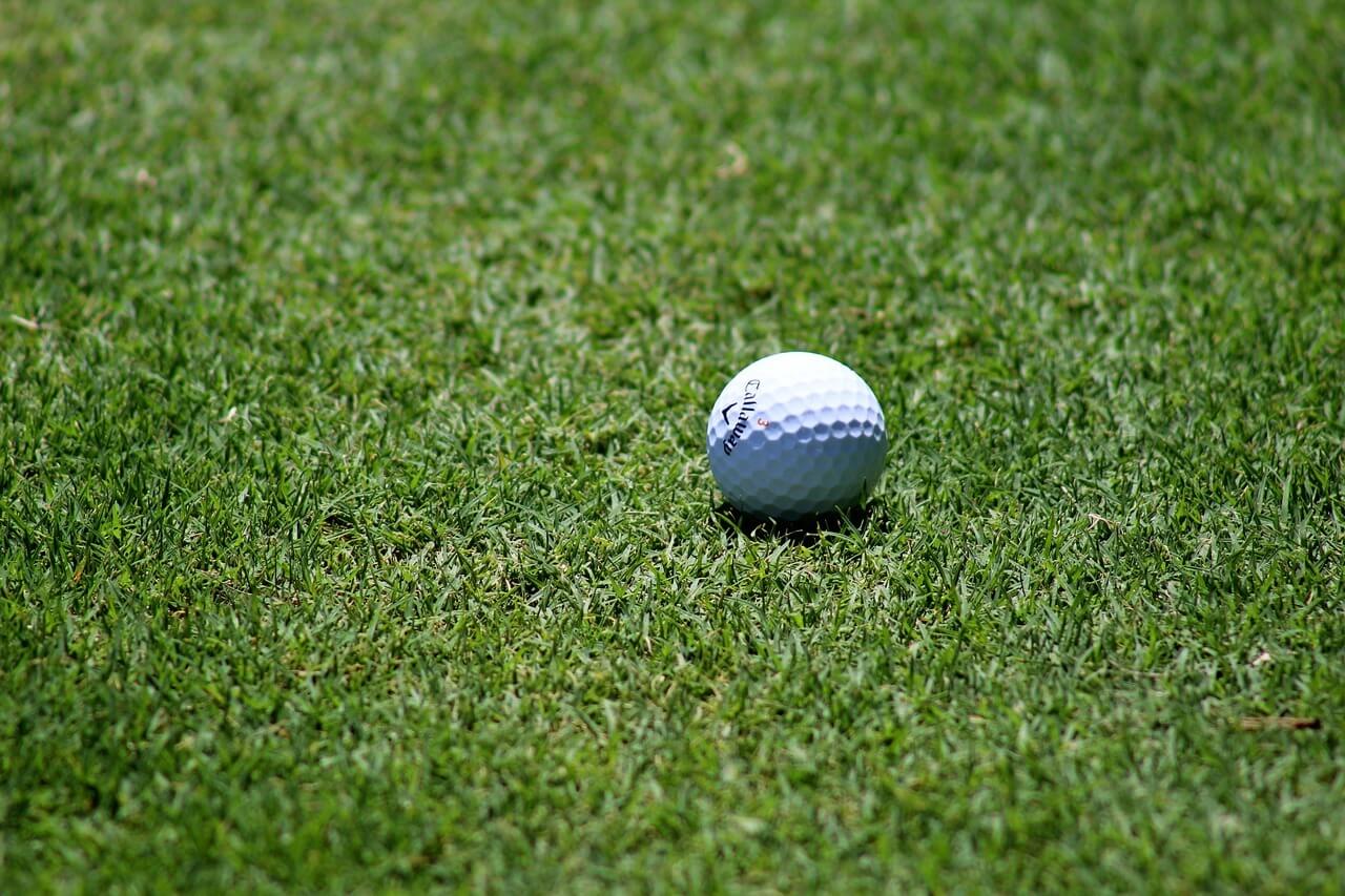 KLPGA 실시간 스코어 및 중계 시청
