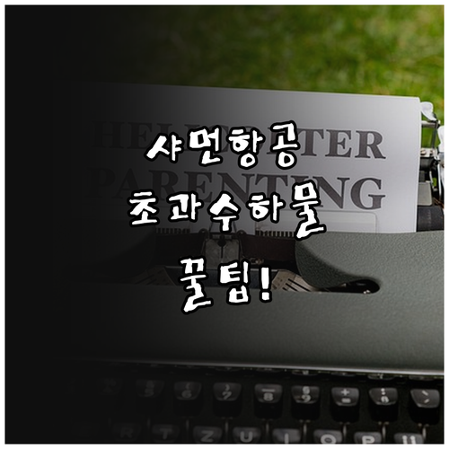 샤먼항공 초과 수하물 요금 사전 구매..