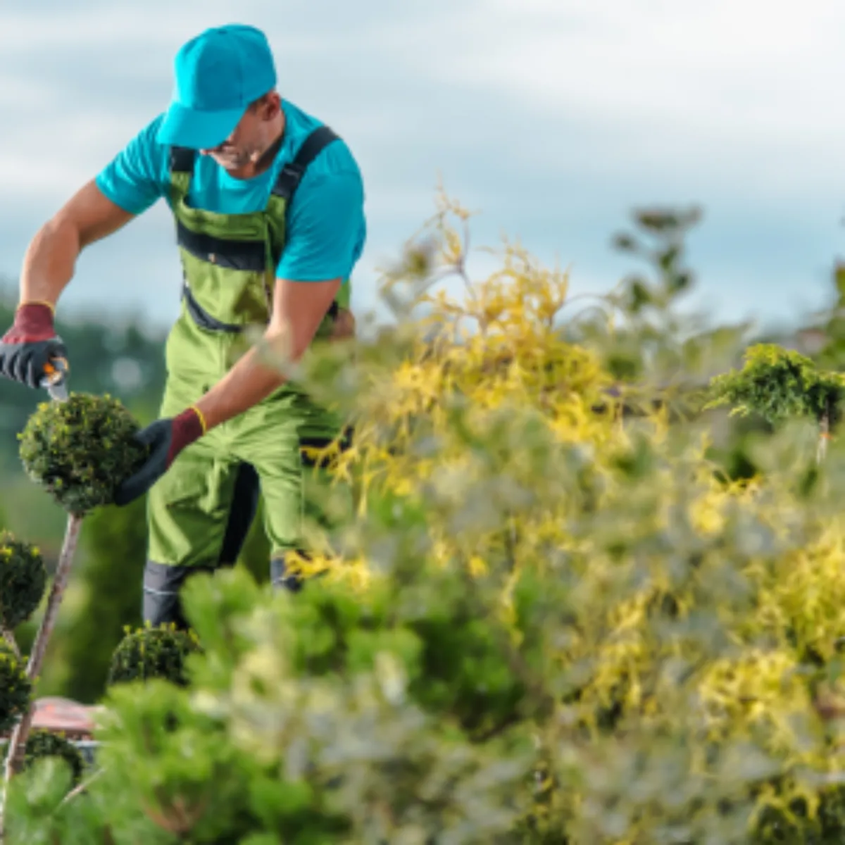 2025년 노인 일자리 모집