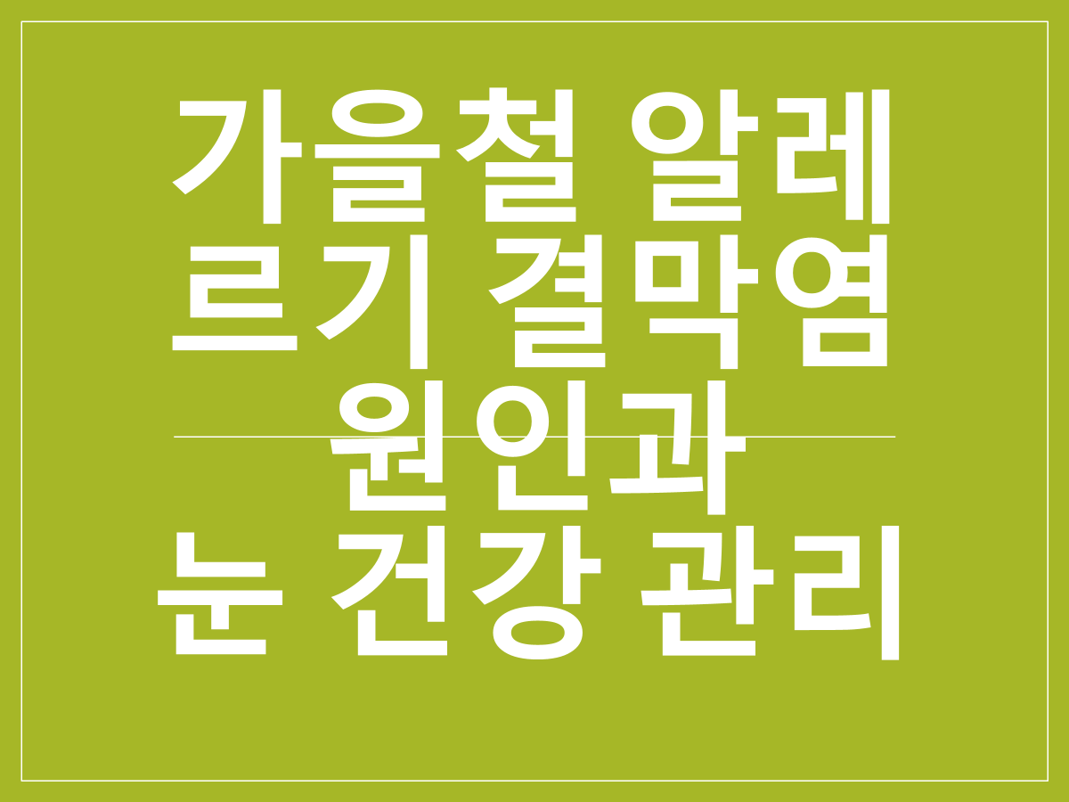 가을철 알레르기 결막염 원인과 눈 건강 관리｜가려움&middot;충혈&middot;눈물 예방 가이드
