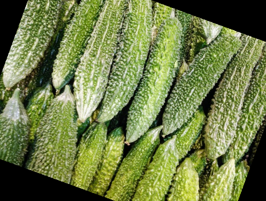 여주 효능 부작용