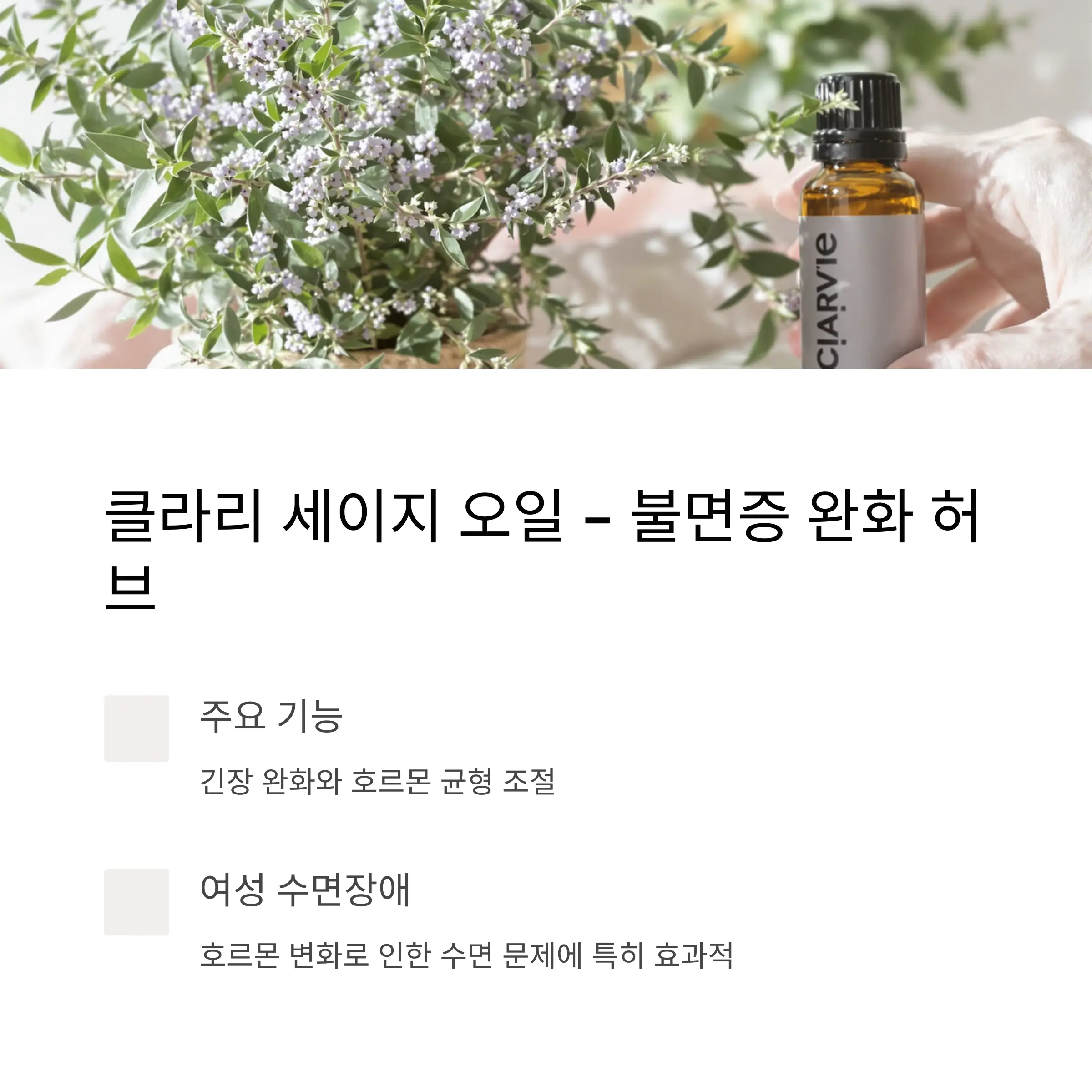 클라리 세이지 오일 – 불면증 완화에 도움되는 허브 향