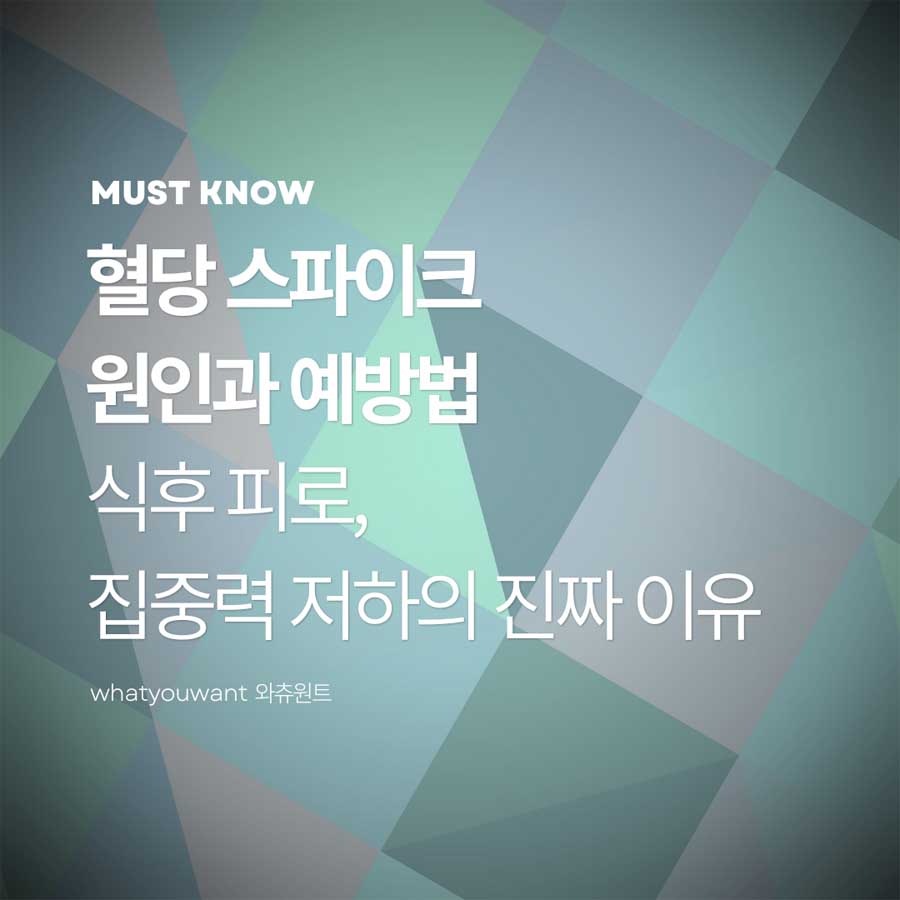 혈당 스파이크 원인과 예방법