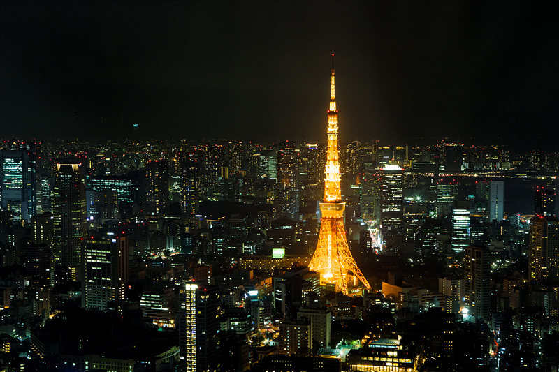 모리타워에서 바라본 도쿄타워 전경_Photo by Kim Sunghwan(Artageo)