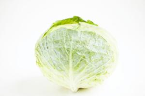 역류성 식도염에 좋은 음식