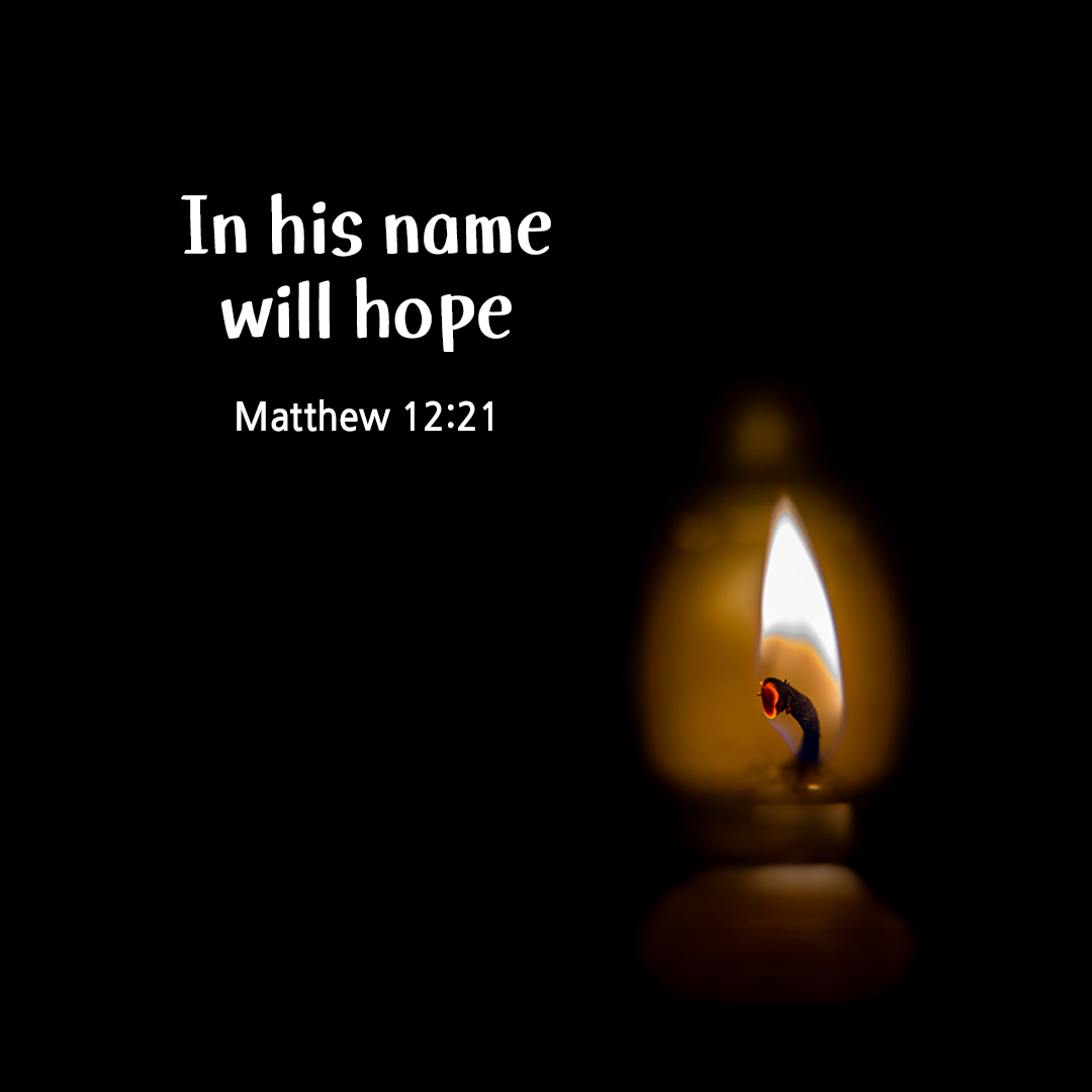 In his name will hope. (Matthew 12:21) by pieonane Daily Bible quote image