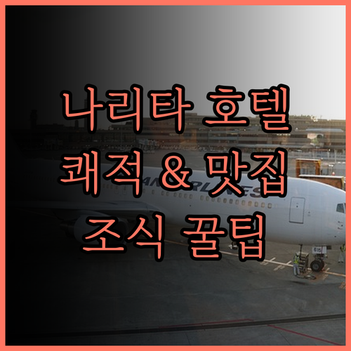 인터내셔널 가든 호텔 나리타 후기 쾌