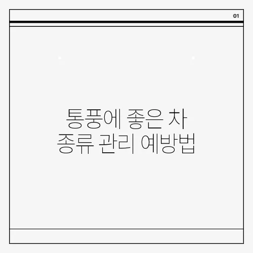 통풍에 좋은 차 종류 관리 예방법