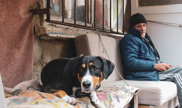 2025년 부산 서구의 은퇴자를 위한 금융, 세금, 대출 정보 관련 사진