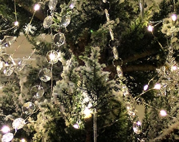 크리스마스 트리