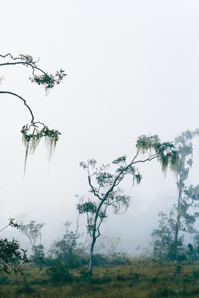 Axel Hütte, Kayo 1, 2008