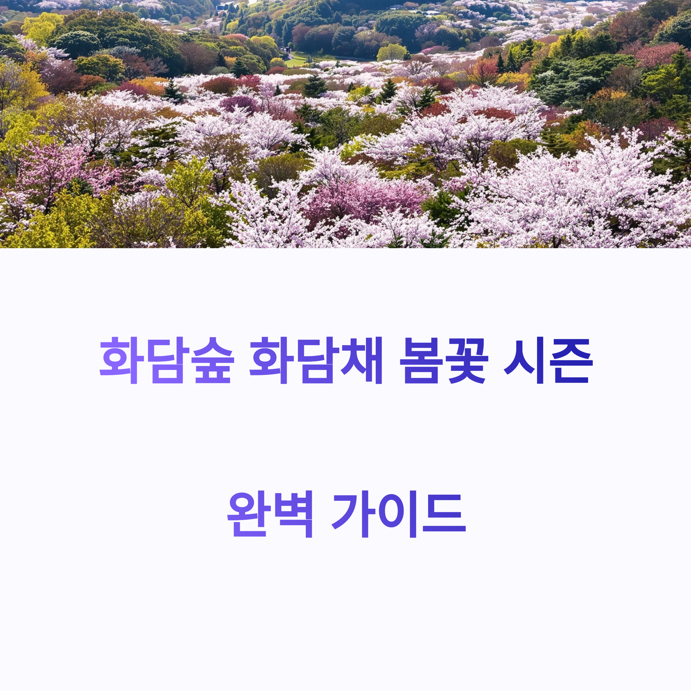 화담숲 화담채 봄꽃 시즌 완벽 가이드