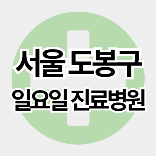 서울도봉구_일요일진료병원_썸네일