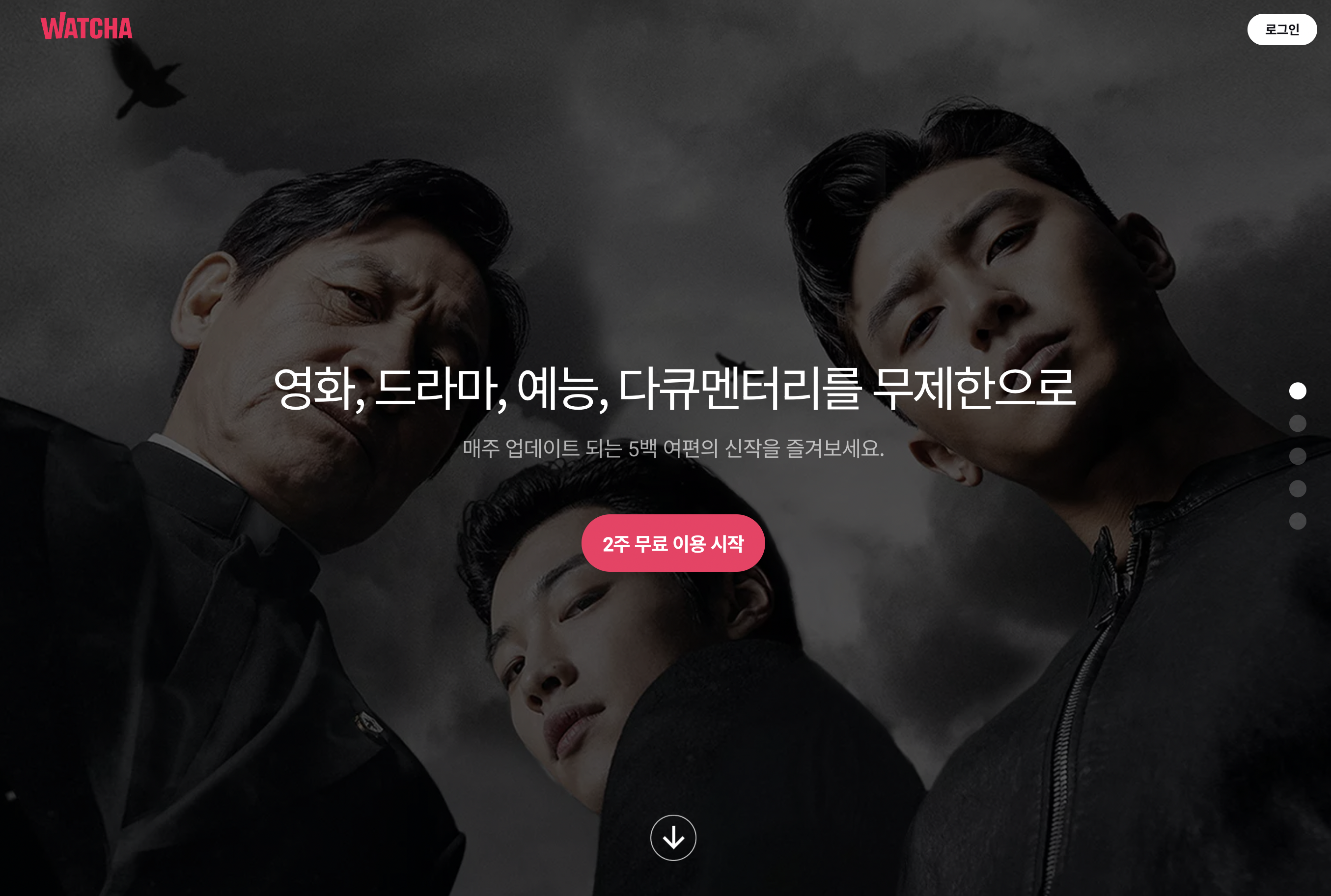 국내 OTT 순위