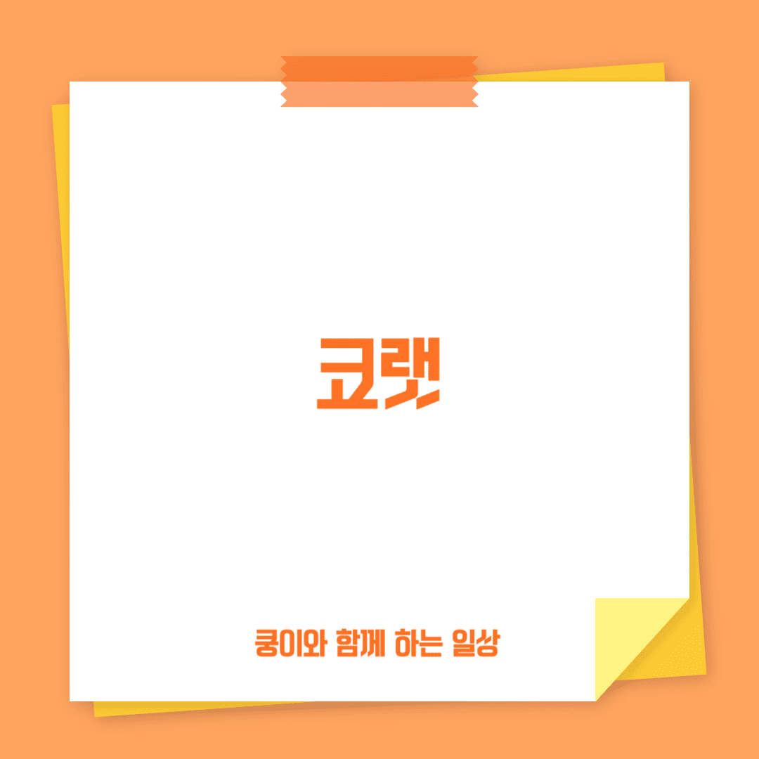 코랫(Korat)