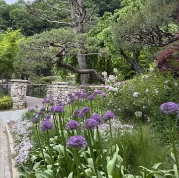 화담숲-입장료-반딧불이-이벤트-예약-기간