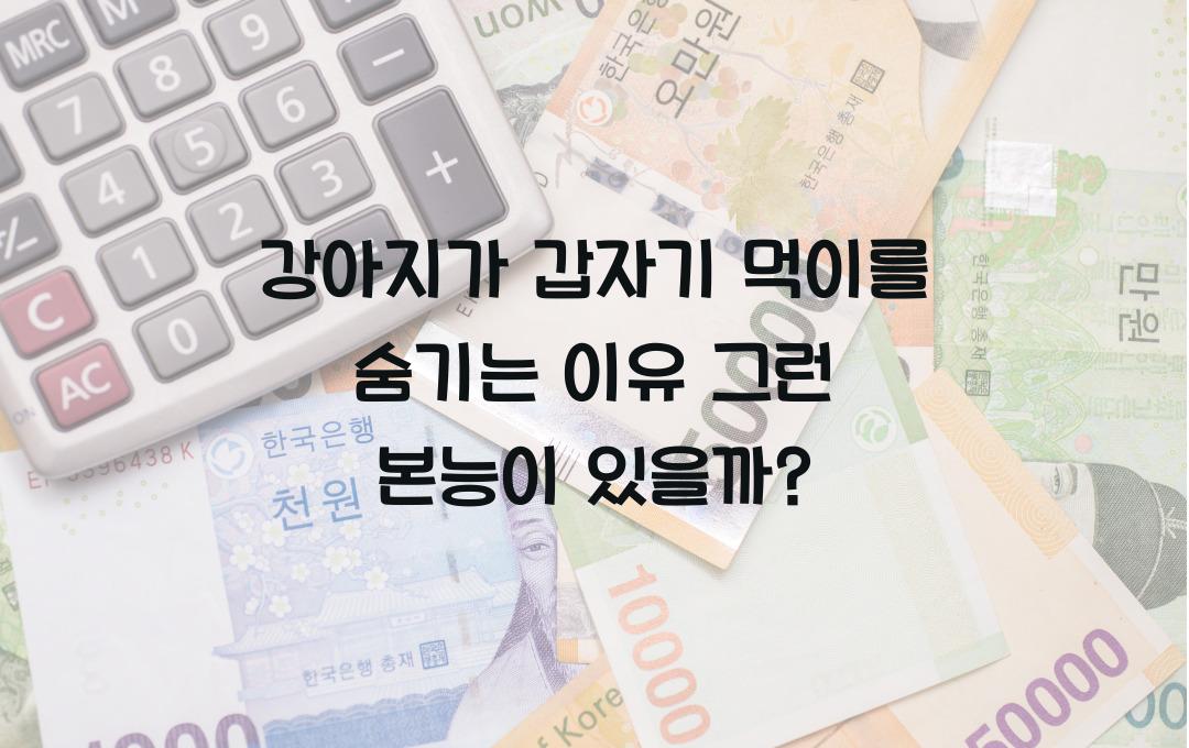 강아지가 갑자기 먹이를 숨기는 이유! 본능적 행동 분석