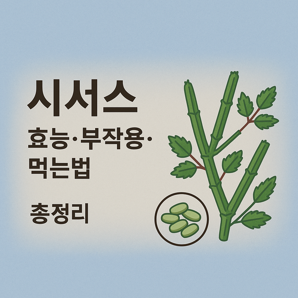 시서스 효능 부작용 먹는법 총정리