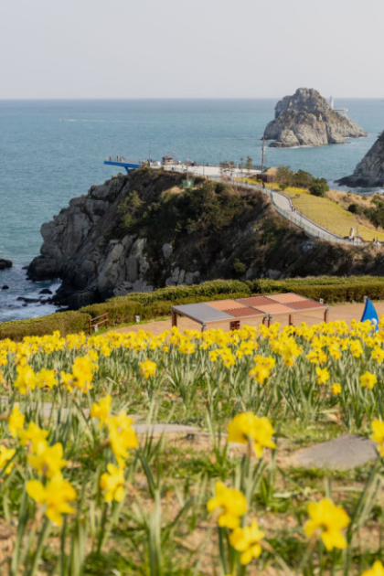 전국수선화명소