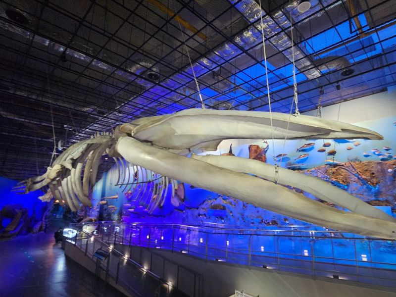 땅끝해양자연사박물관