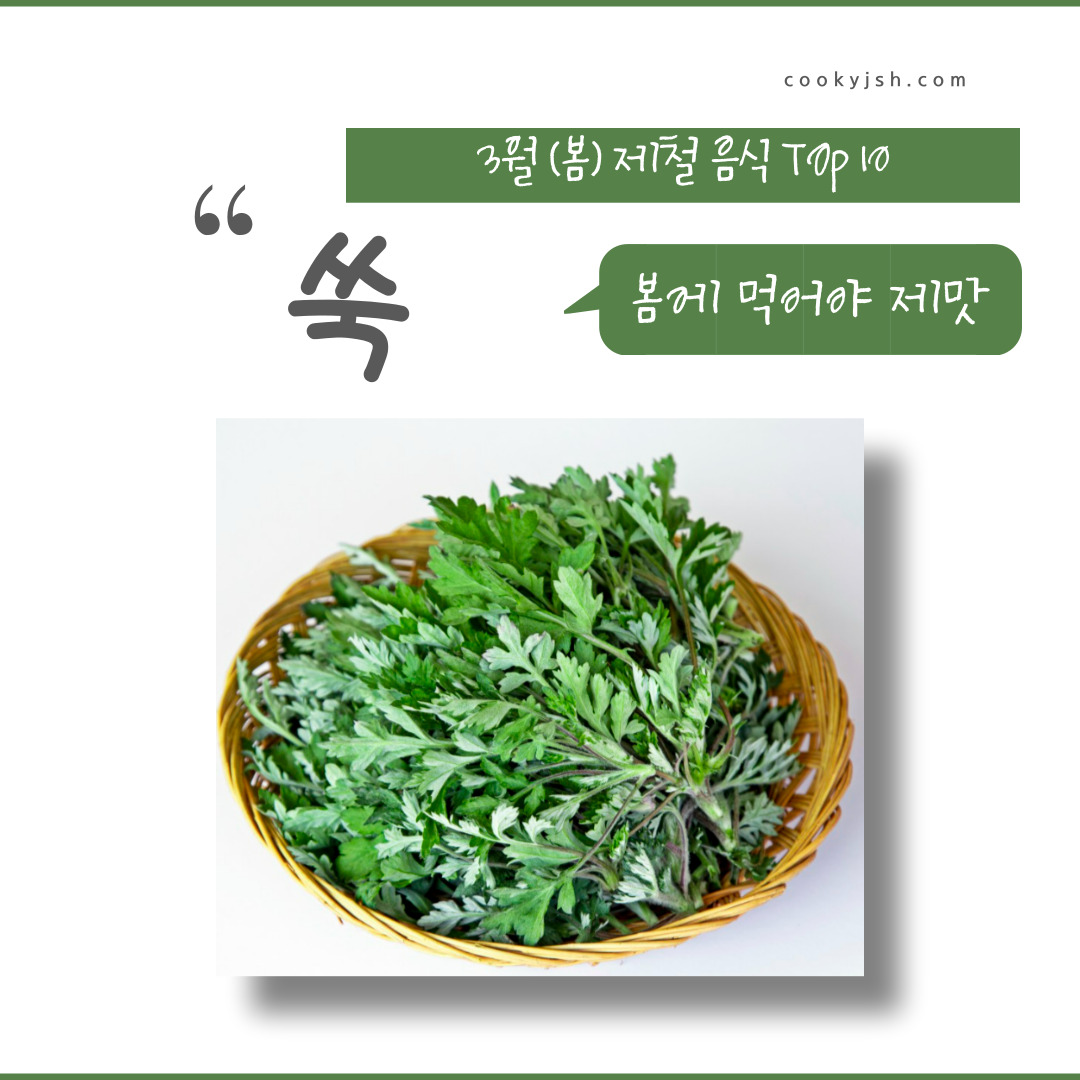 3월에 먹으면 좋은 제철 음식(봄철 음식) - 쑥 편 (효능, 쑥이 들어가는 음식)
